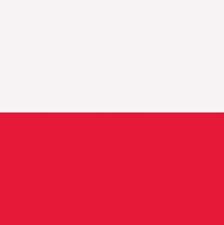 Polski zespół